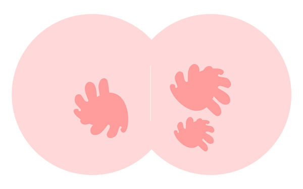 Diaper Rash 1-2-3: A Comprehensive Guide to Diaper Rash